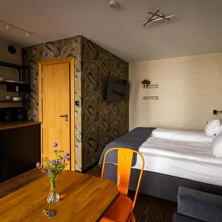 公寓 Rozana Loft - Old Town