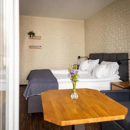 Rozana Loft - Old Town 公寓